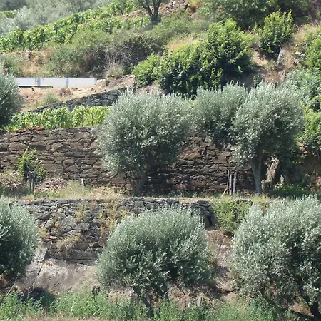 Casa De Santa Cruz 3*