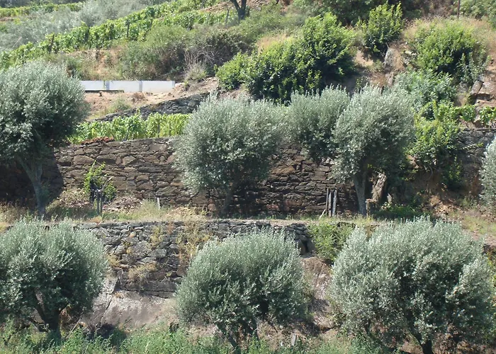 Casa De Santa Cruz 3*